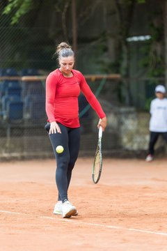 Bild 541 - BL DTV Hannover - BW Dresden Blasewitz : Ergebnis: 2:7